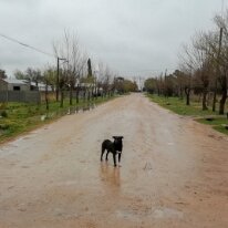 IMG_20180910_115802 10/09/2018 - Certains vilages de l'arrière pays argentin paraissent relativement pauvres. ...so this was the main street in Libanon, just the dog waiting for us...